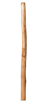 Medium Size Natural Finish Didgeridoo (TW1153)